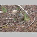 20060815_MesaVerde_009 copia.jpg